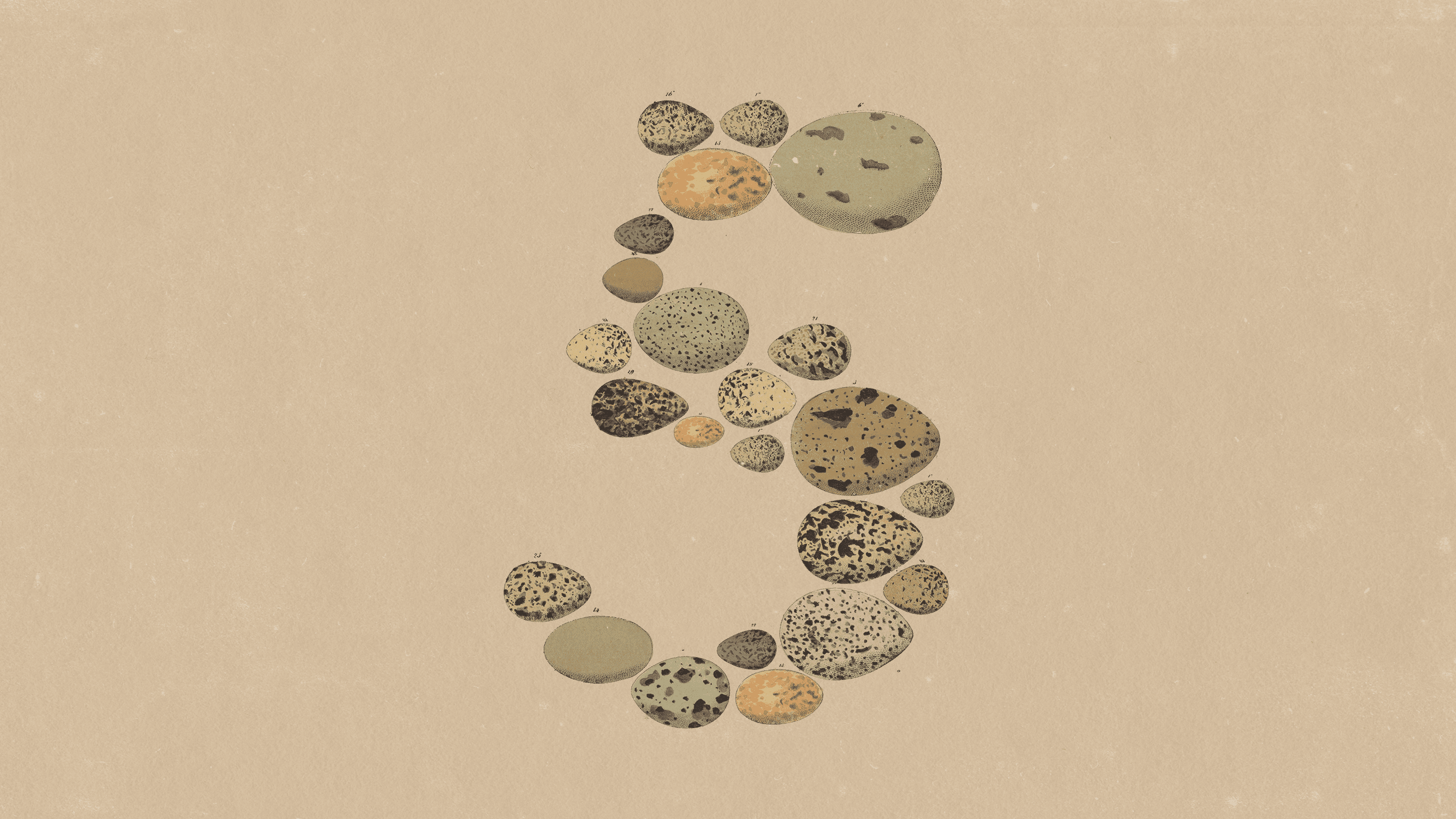 Claude Opus 5: What Anthropic's Benchmarks Show